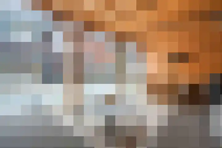 Schoonrijder 44 Sappemeer thumbnail 45