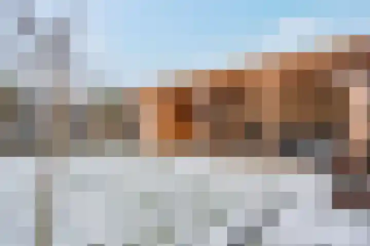 Schoonrijder 44 Sappemeer thumbnail 47