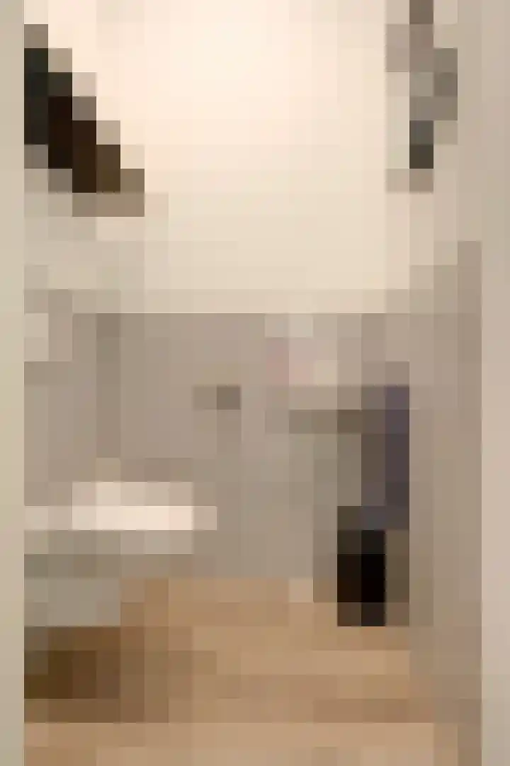 Schoonrijder 49 Sappemeer thumbnail 16