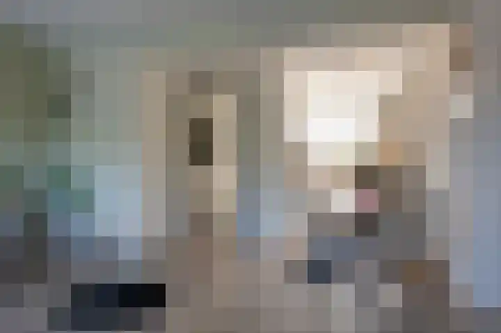 Schoonrijder 49 Sappemeer thumbnail 20
