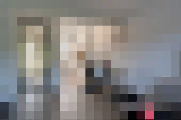 Schoonrijder 49 Sappemeer thumbnail 21