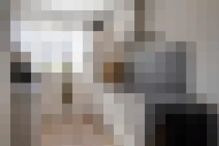 Schoonrijder 49 Sappemeer thumbnail 23