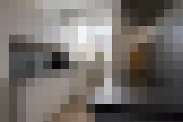Schoonrijder 49 Sappemeer thumbnail 24