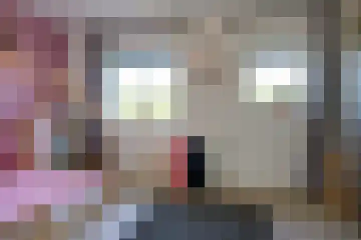 Schoonrijder 49 Sappemeer thumbnail 27