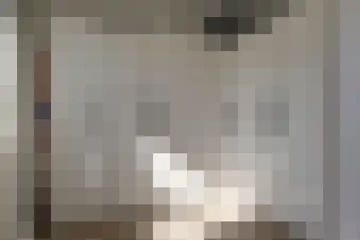 Schoonrijder 49 Sappemeer thumbnail 30