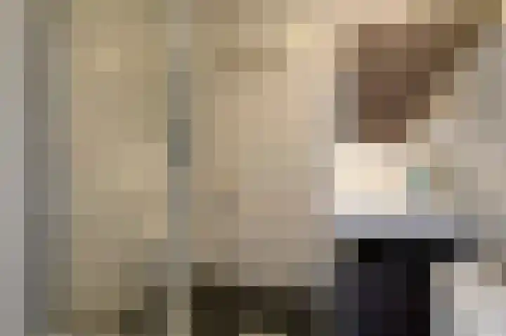 Schoonrijder 49 Sappemeer thumbnail 31