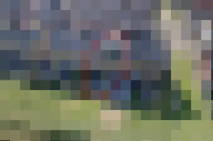 Schoonrijder 49 Sappemeer thumbnail 7