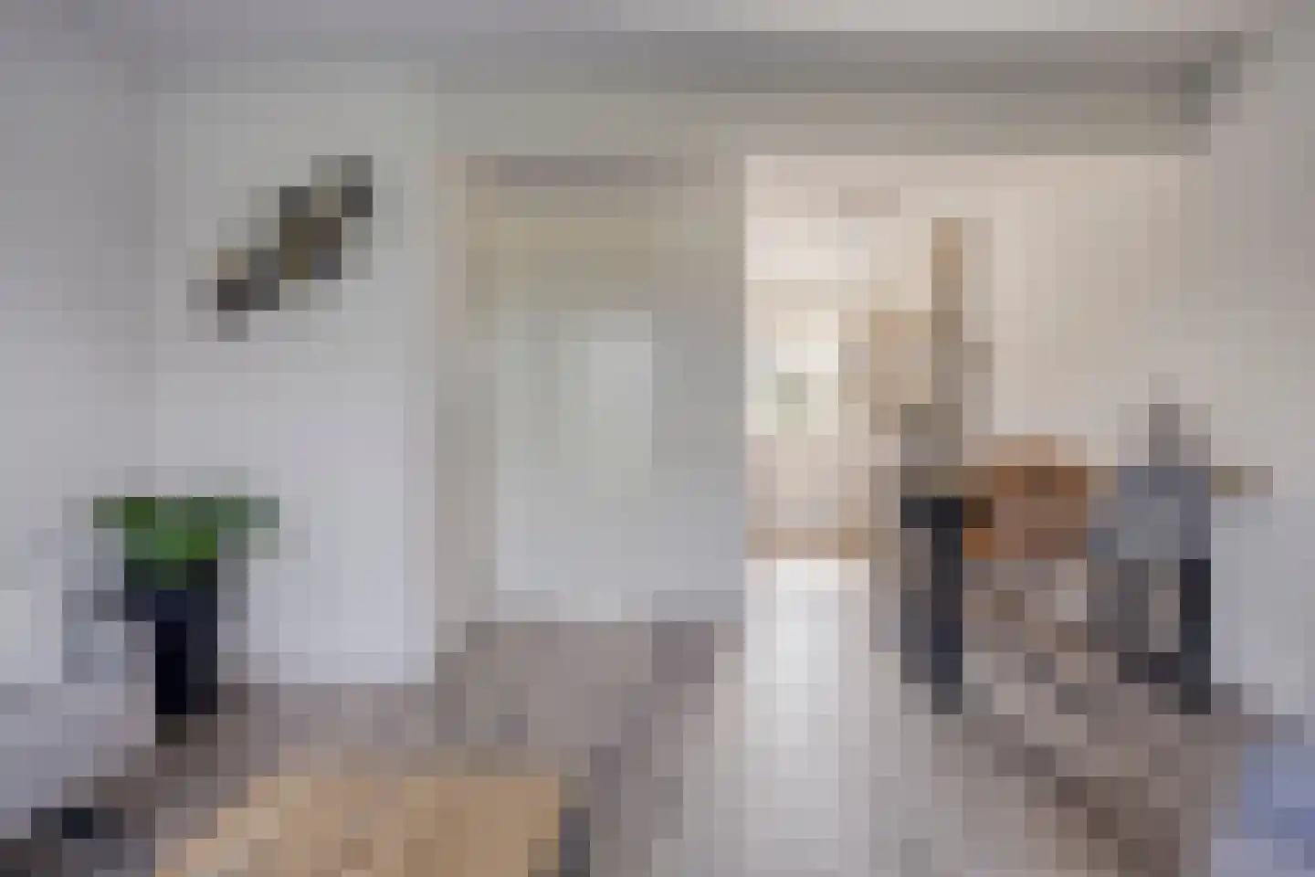 Schoonrijder 53 Sappemeer thumbnail 10