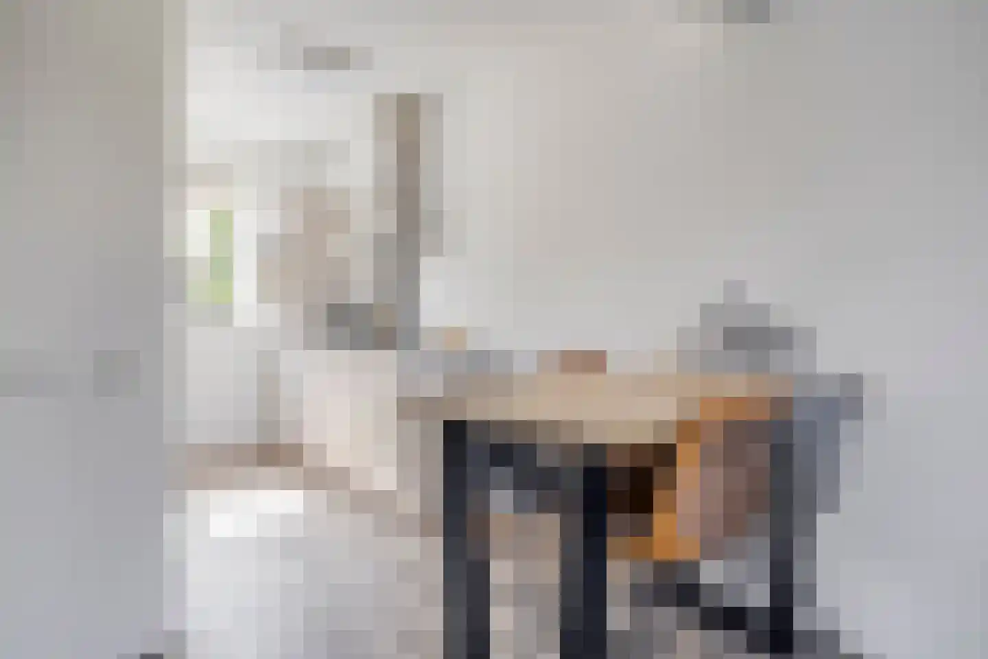 Schoonrijder 53 Sappemeer thumbnail 11