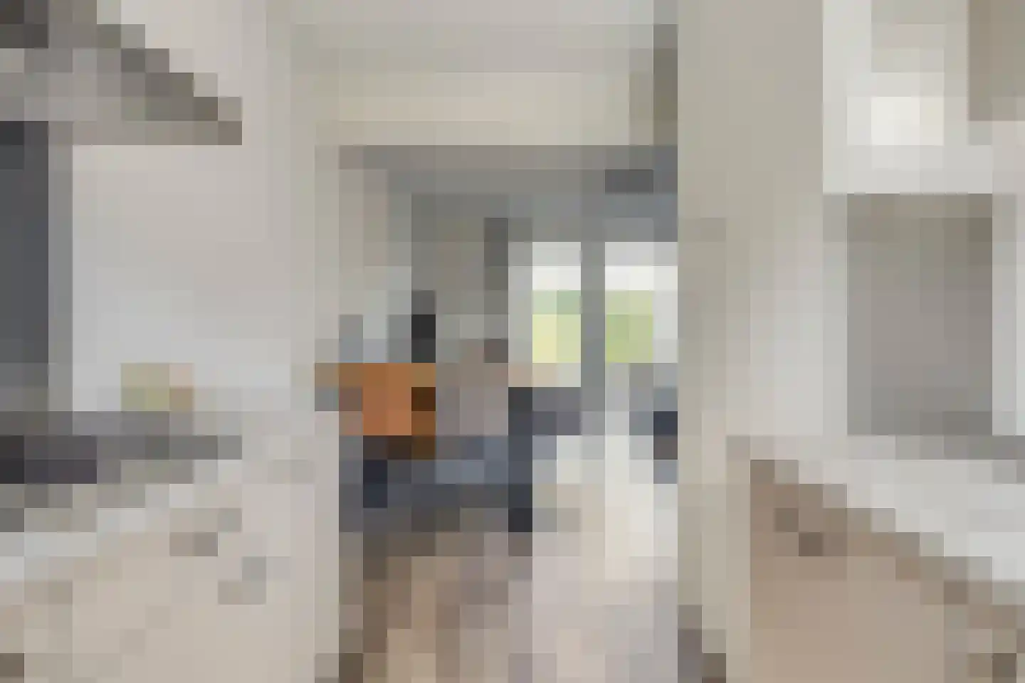 Schoonrijder 53 Sappemeer thumbnail 12