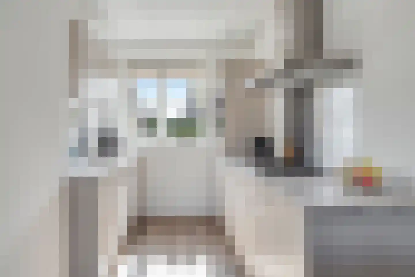Schoonrijder 53 Sappemeer thumbnail 13