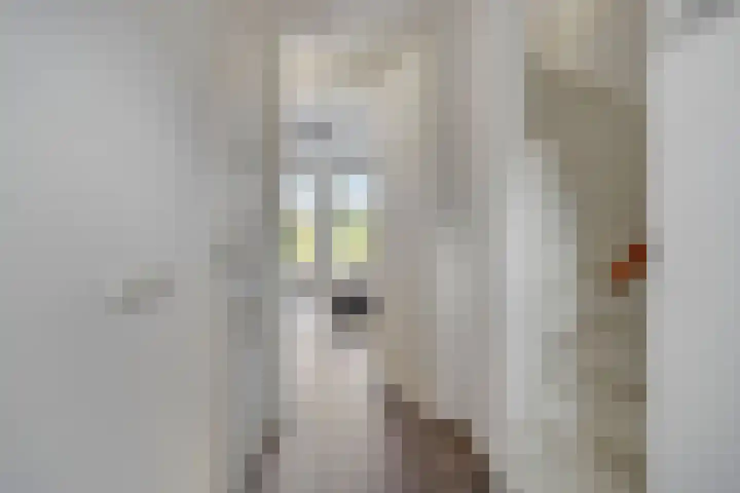 Schoonrijder 53 Sappemeer thumbnail 17