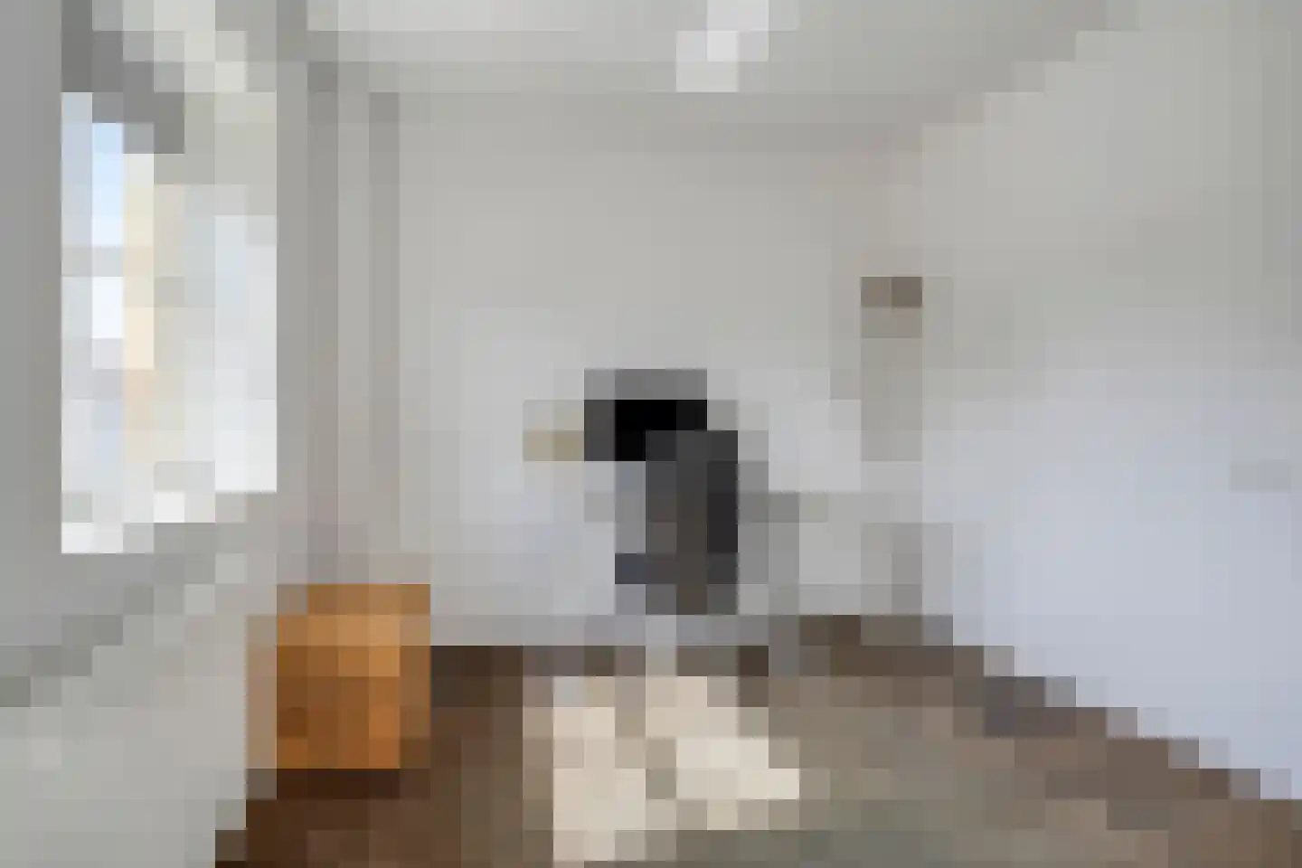 Schoonrijder 53 Sappemeer thumbnail 25
