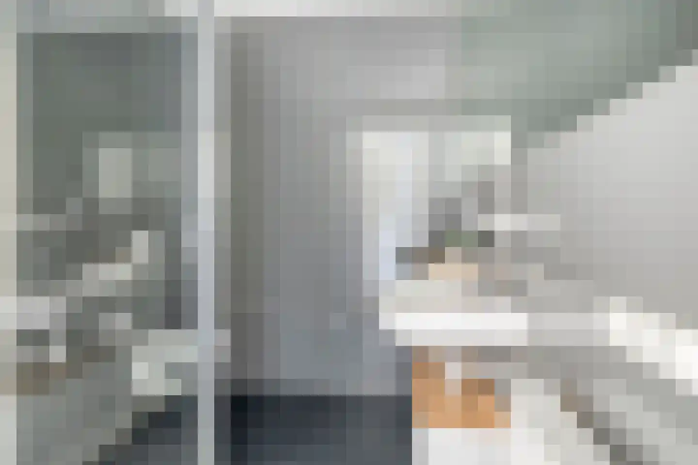 Schoonrijder 53 Sappemeer thumbnail 27