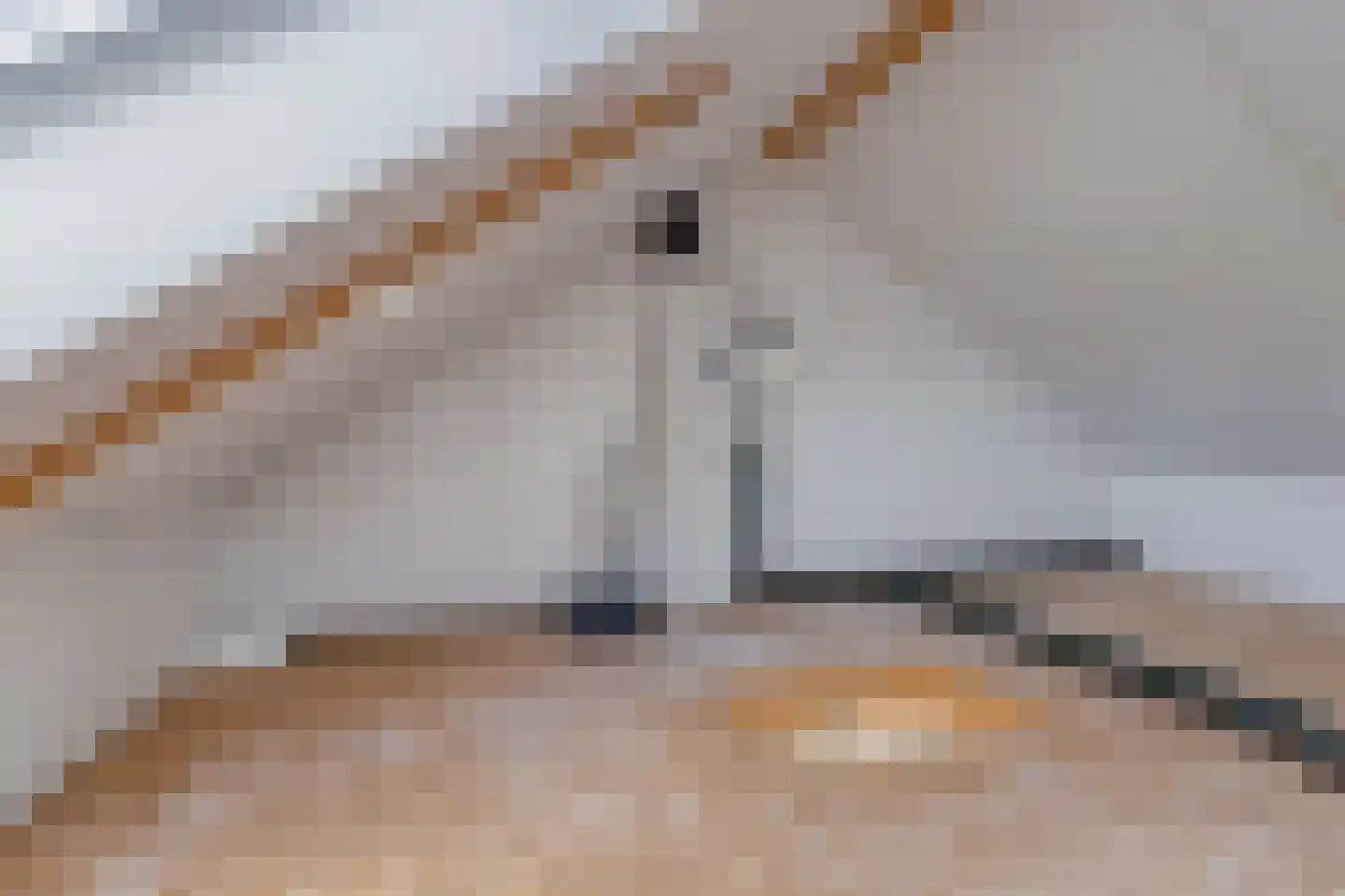 Schoonrijder 53 Sappemeer thumbnail 29