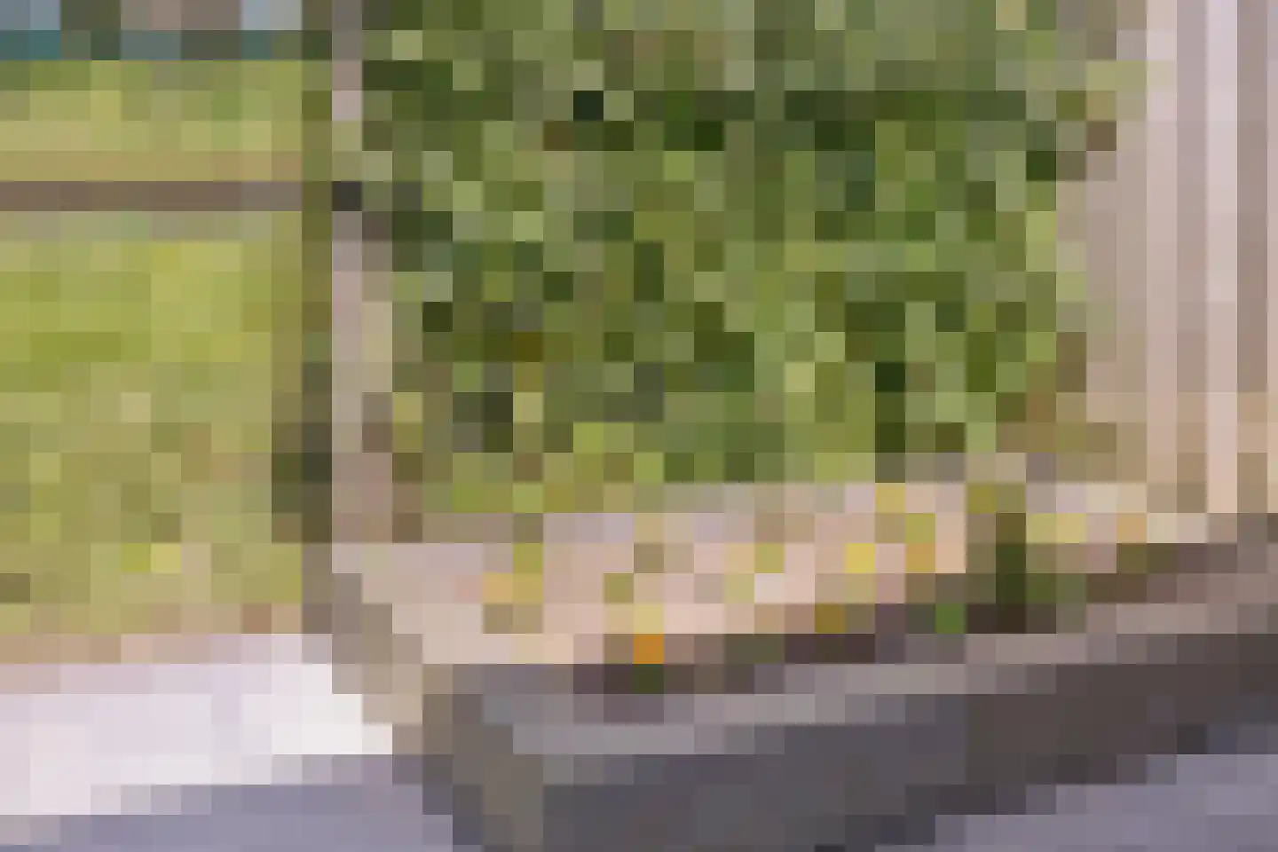 Schoonrijder 53 Sappemeer thumbnail 37