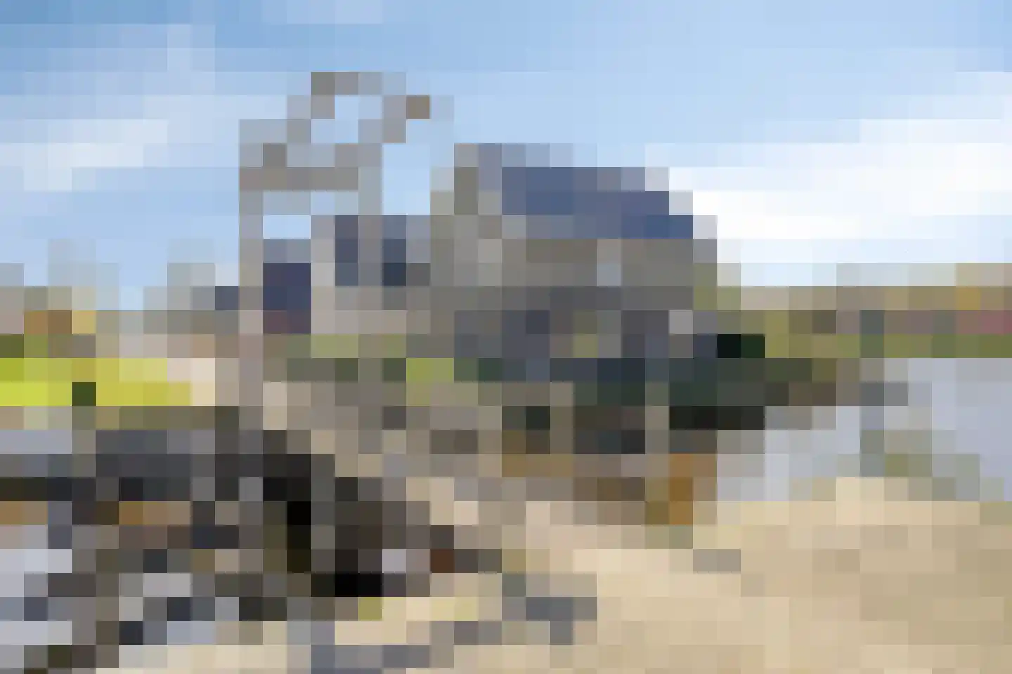Schoonrijder 53 Sappemeer thumbnail 46