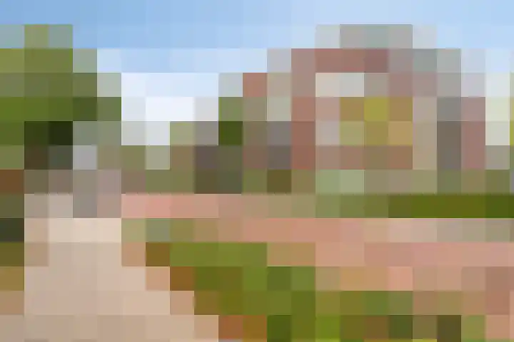Schoonstraat 20 f Heesch thumbnail 31