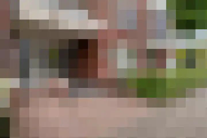 Schoonstraat 20 f Heesch thumbnail 33