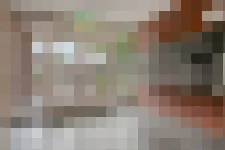 Schoonstraat 20 f Heesch thumbnail 34