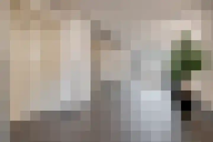 Schoonstraat 20 f Heesch thumbnail 35