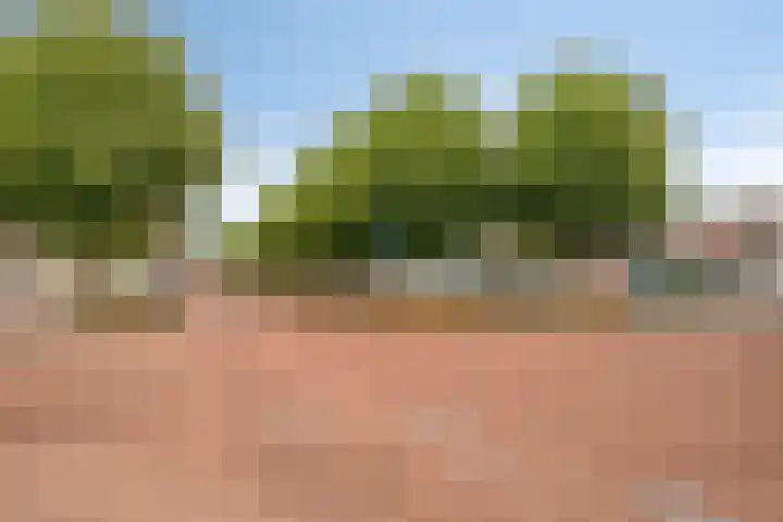 Schoonstraat 20 f Heesch thumbnail 39