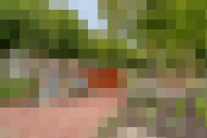 Schoonstraat 20 f Heesch thumbnail 41