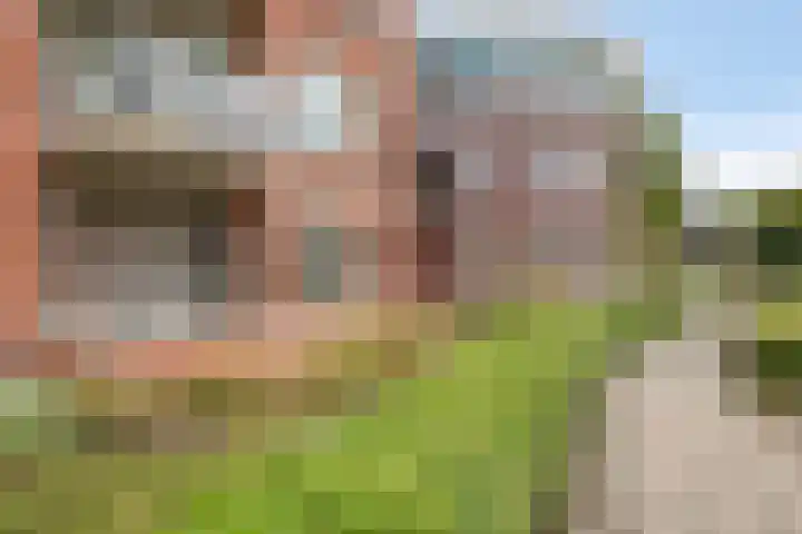 Schoonstraat 20 f Heesch thumbnail 6
