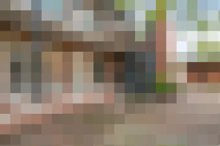 Schoonstraat 20 f Heesch thumbnail 7