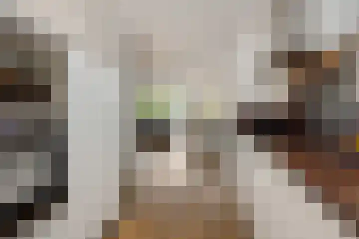 Schoonstraat 20 r Heesch thumbnail 12