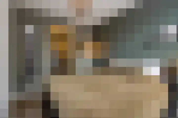 Schoonstraat 20 r Heesch thumbnail 14