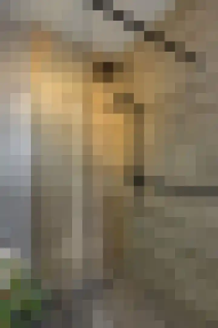 Schoonstraat 20 r Heesch thumbnail 16