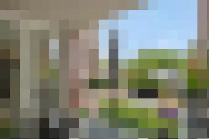 Schoonstraat 20 r Heesch thumbnail 27