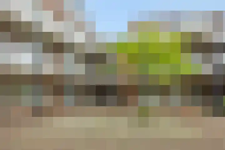 Schoonstraat 20 r Heesch thumbnail 32