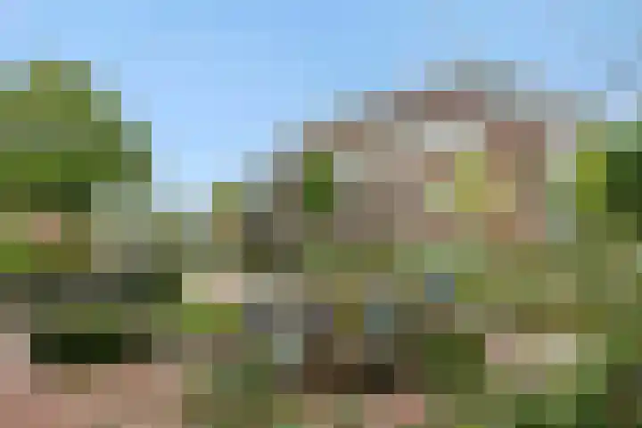 Schoonstraat 20 r Heesch thumbnail 35