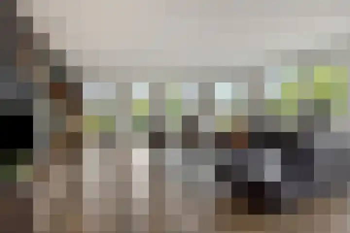 Schoonstraat 20 r Heesch thumbnail 4