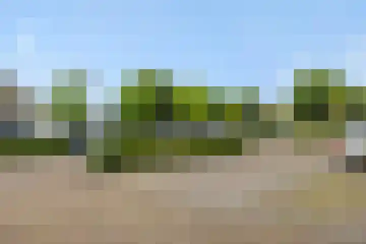 Schoonstraat 20 r Heesch thumbnail 40