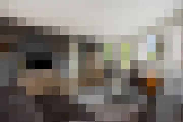 Schoonstraat 20 r Heesch thumbnail 5