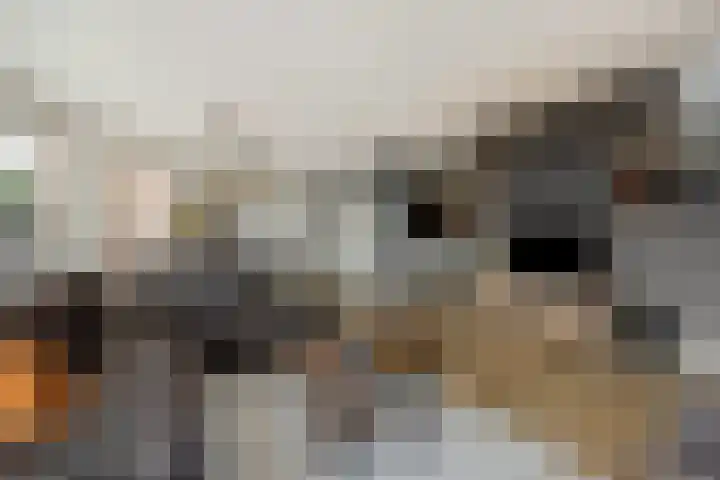 Schoonstraat 20 r Heesch thumbnail 6