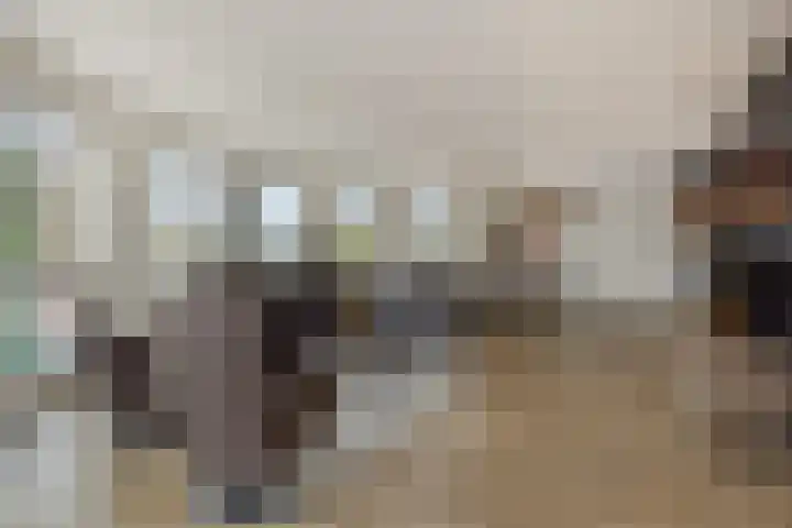 Schoonstraat 20 r Heesch thumbnail 7