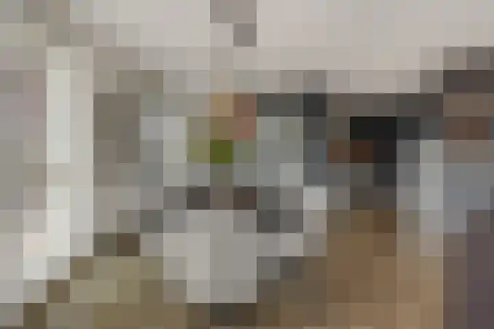 Schoonstraat 20 r Heesch thumbnail 8
