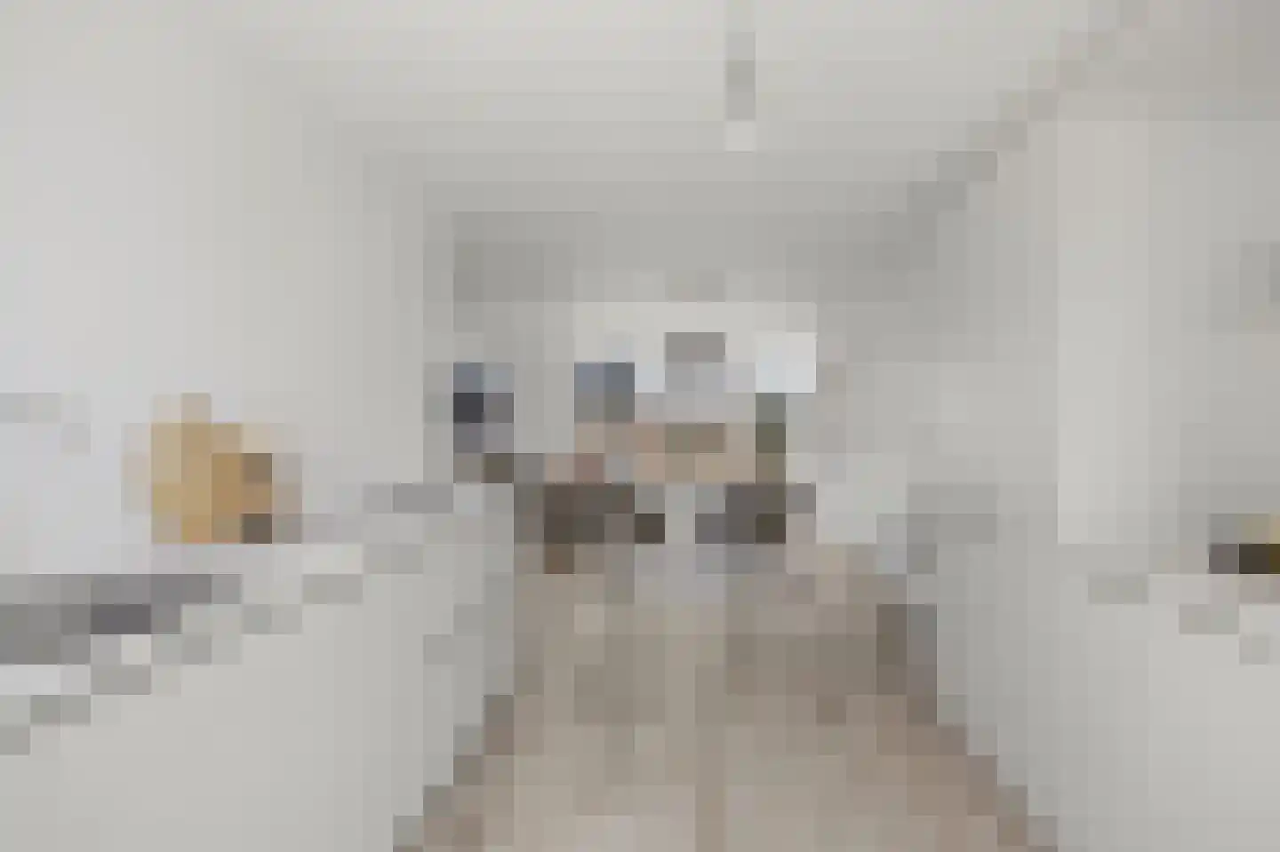 Schoonstraat 24 b Heesch thumbnail 13