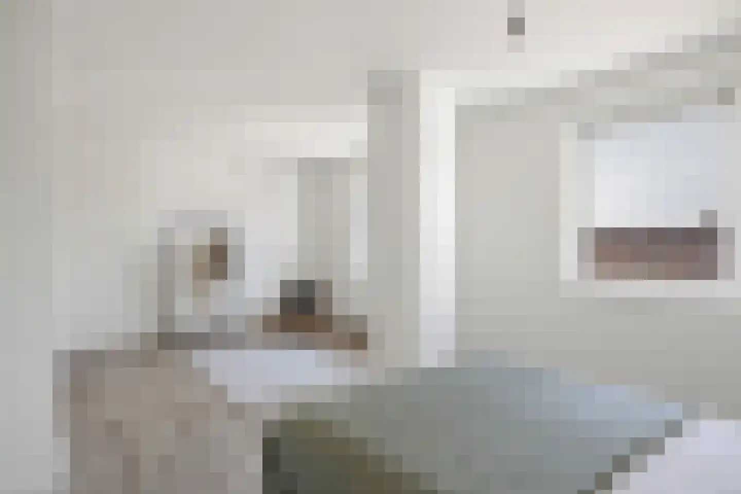 Schoonstraat 24 b Heesch thumbnail 19