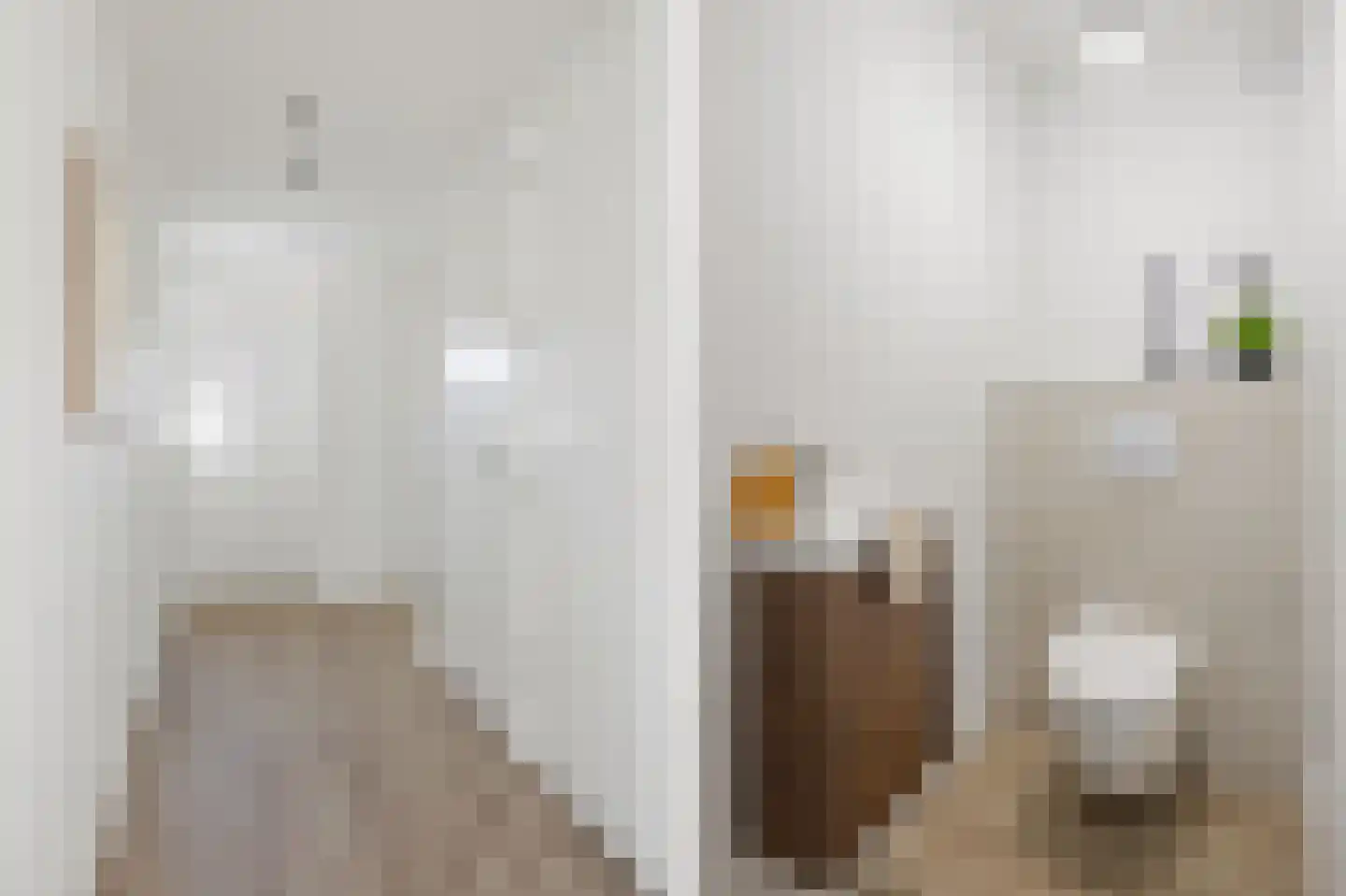 Schoonstraat 24 b Heesch thumbnail 5