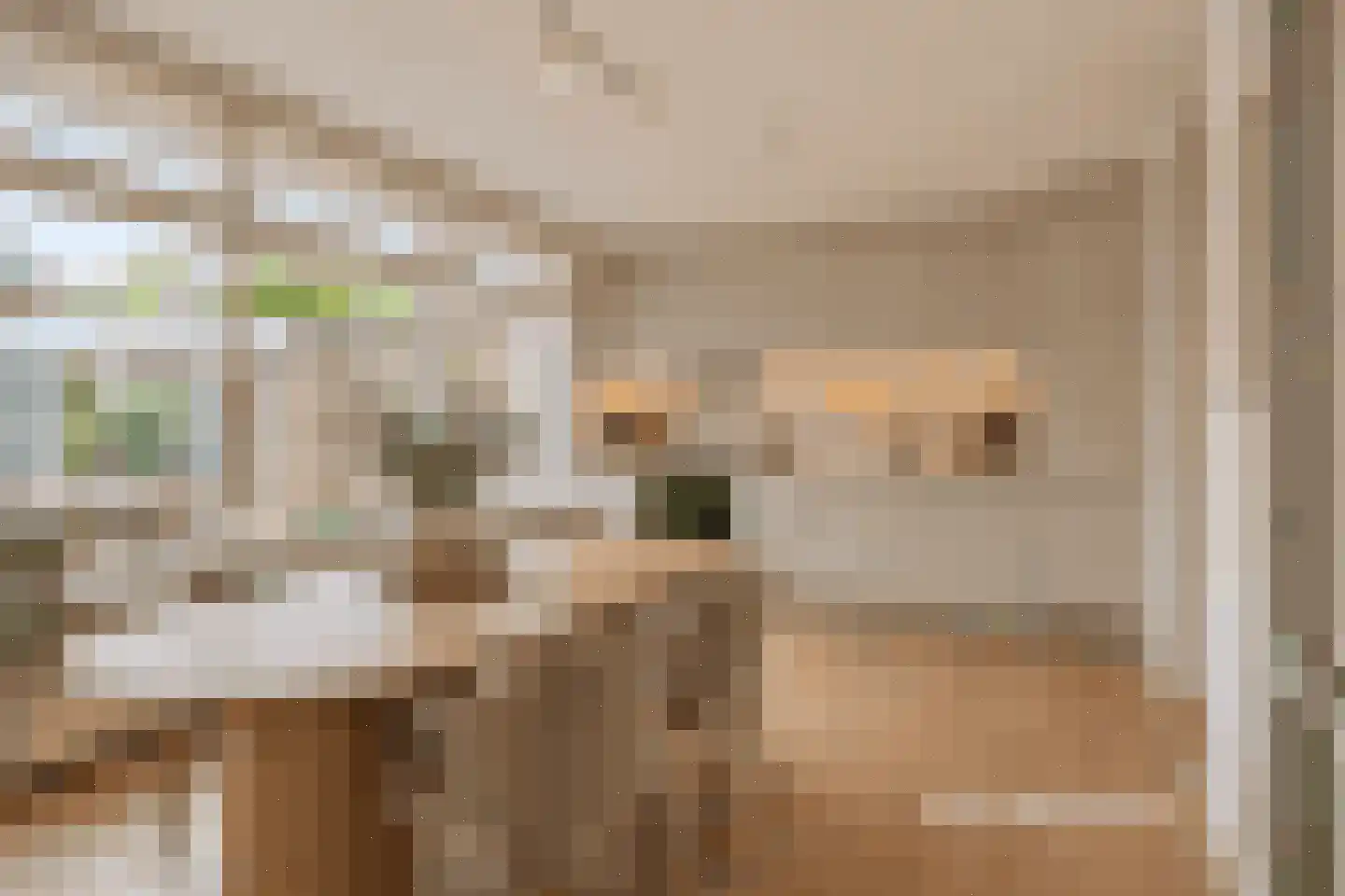 Schoonstraat 60 Heesch thumbnail 17