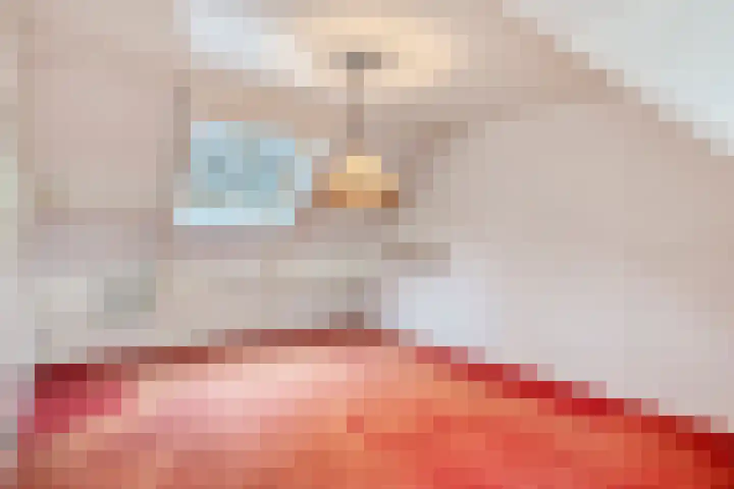 Schoonstraat 60 Heesch thumbnail 29