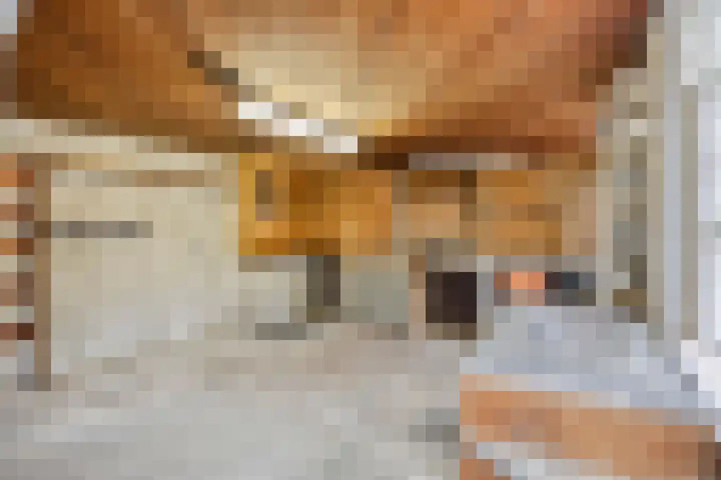 Schoonstraat 60 Heesch thumbnail 34
