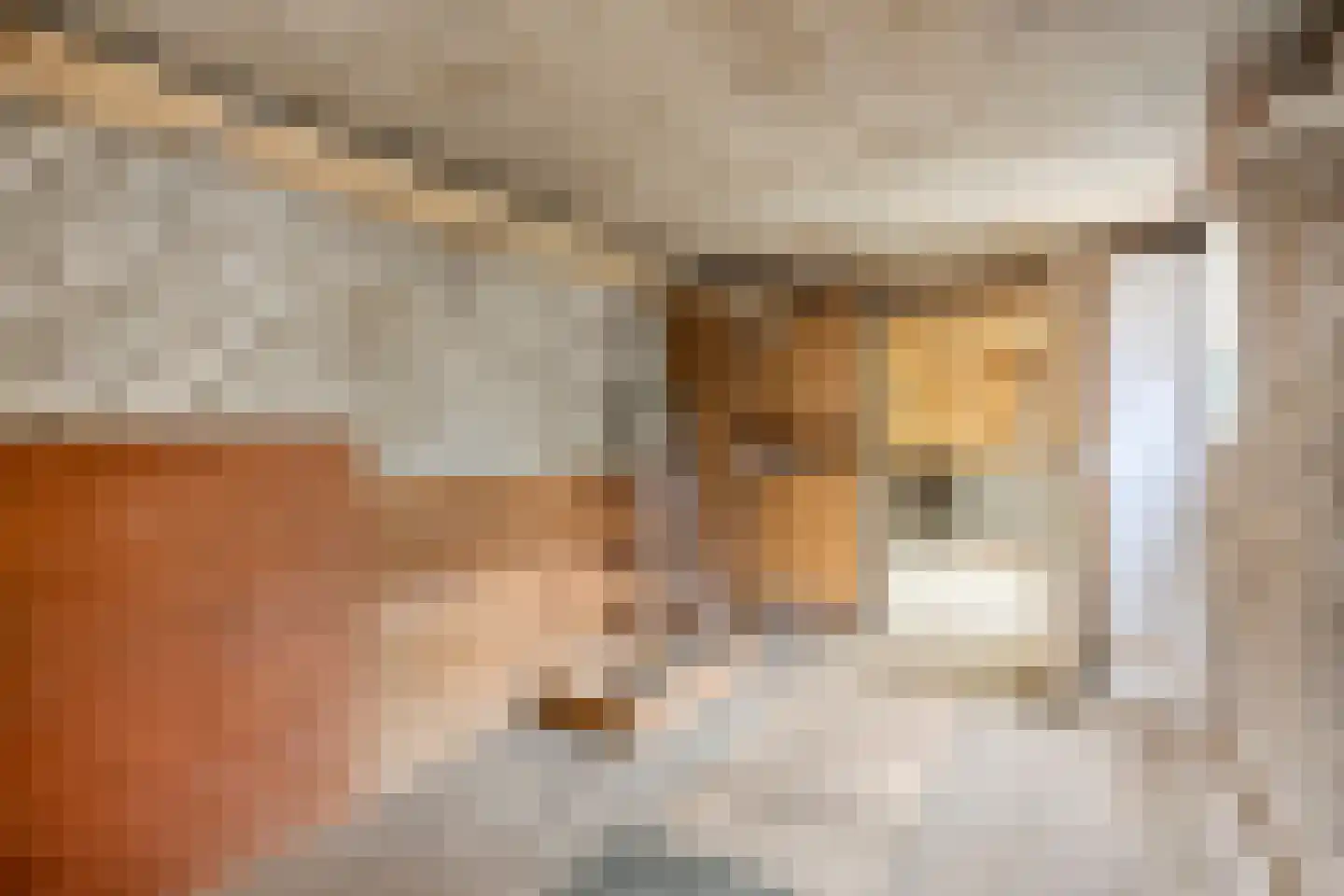 Schoonstraat 60 Heesch thumbnail 36