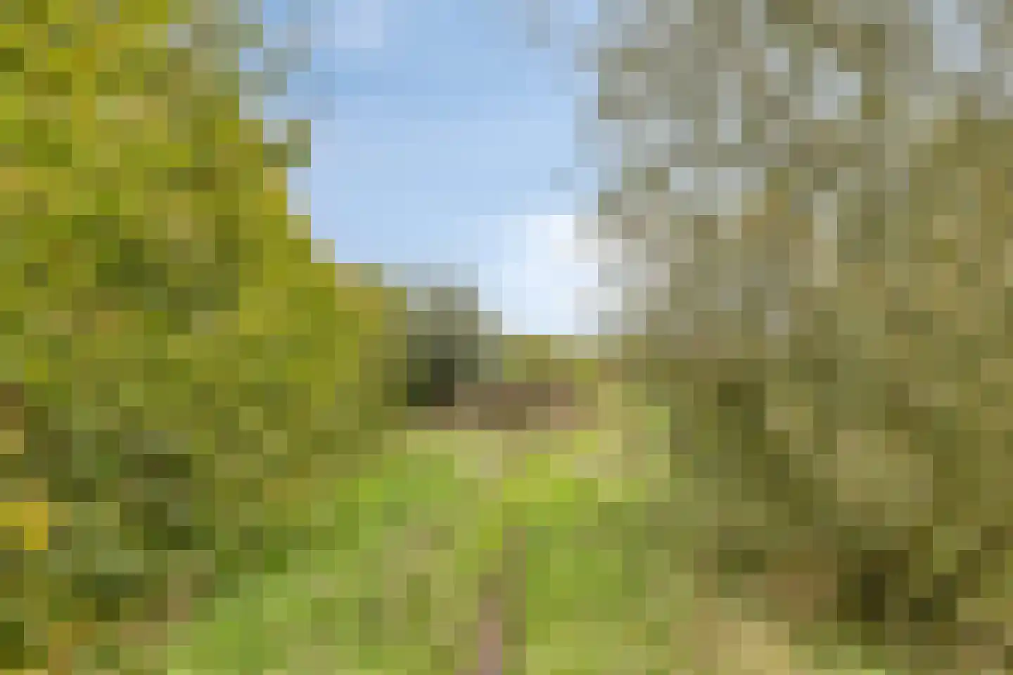 Schoonstraat 60 Heesch thumbnail 38