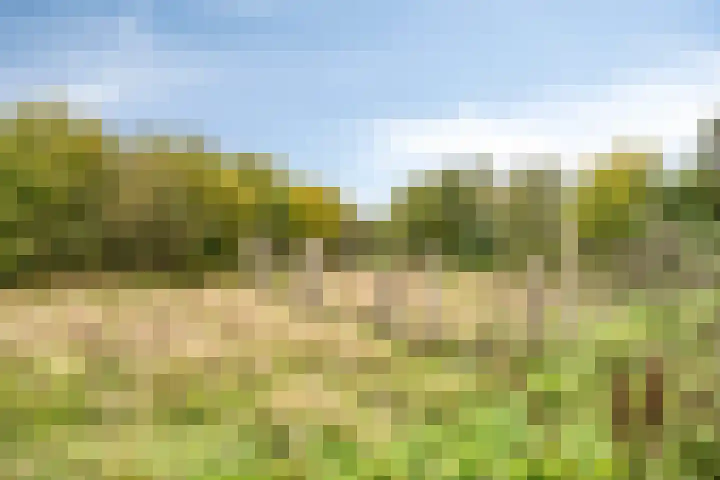 Schoonstraat 60 Heesch thumbnail 39